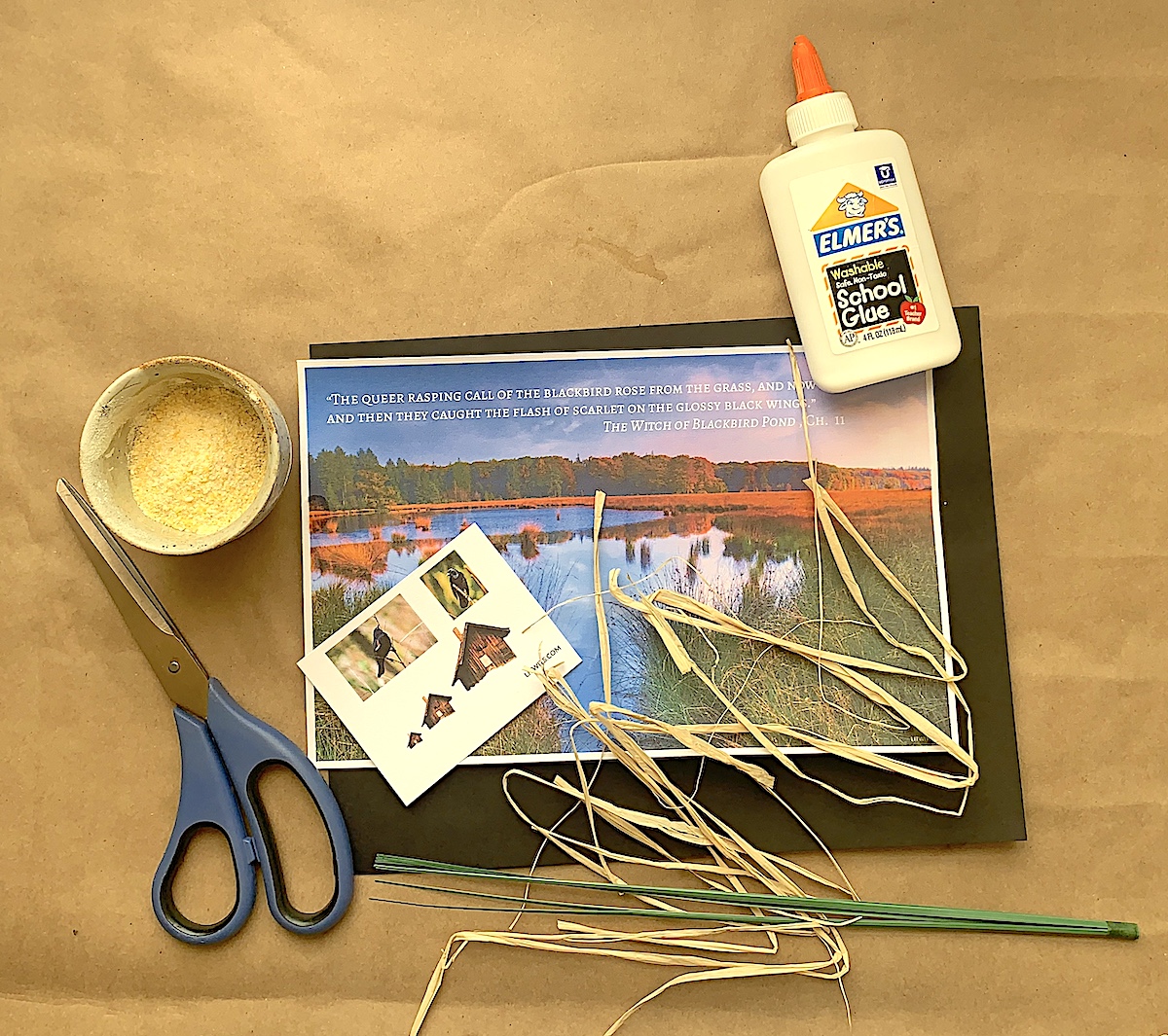 THE WITCH OF BLACKBIRD POND by Elizabeth George Speare - Hannah Tupper's meadow - LitWits Workshops