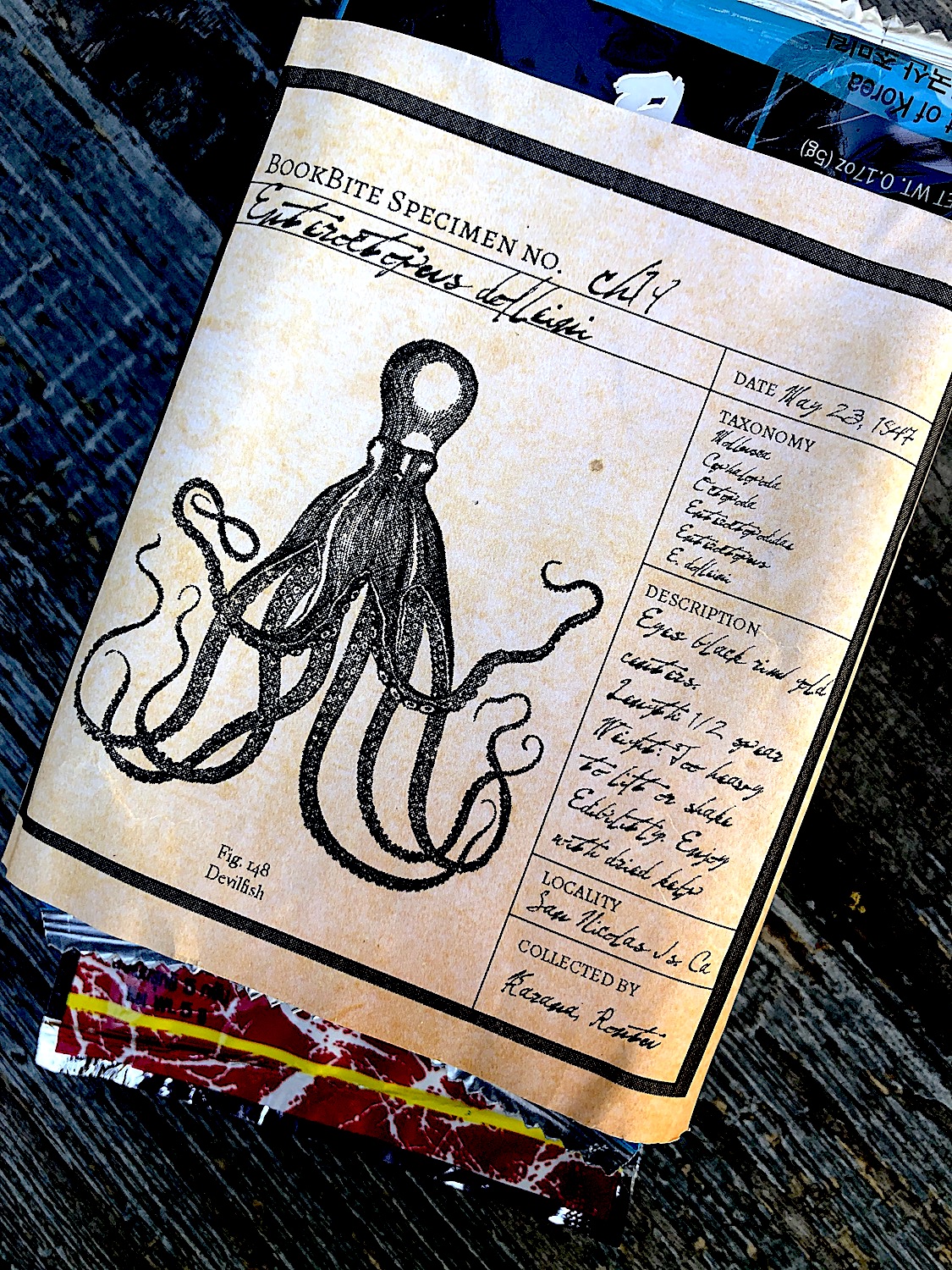 LitWits creative idea for teaching ISLAND OF THE BLUE DOLPHINS by Scott O'Dell