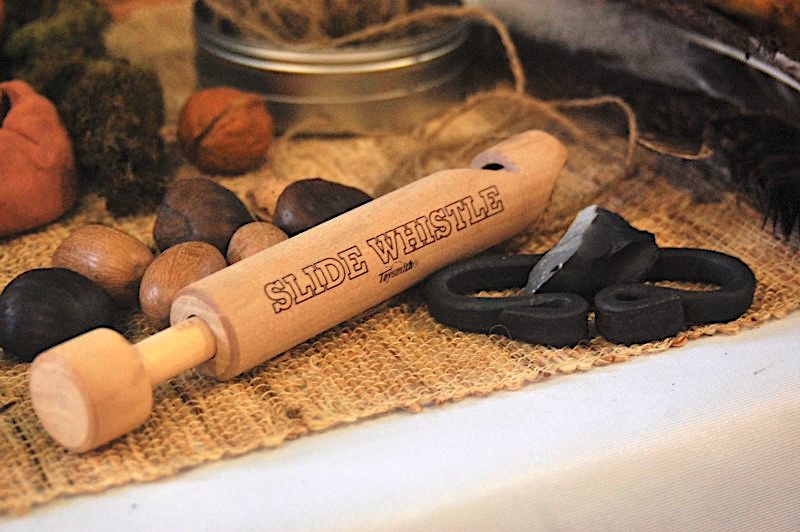 LitWits creative ideas for teaching MISTY OF CHINCOTEAGUE