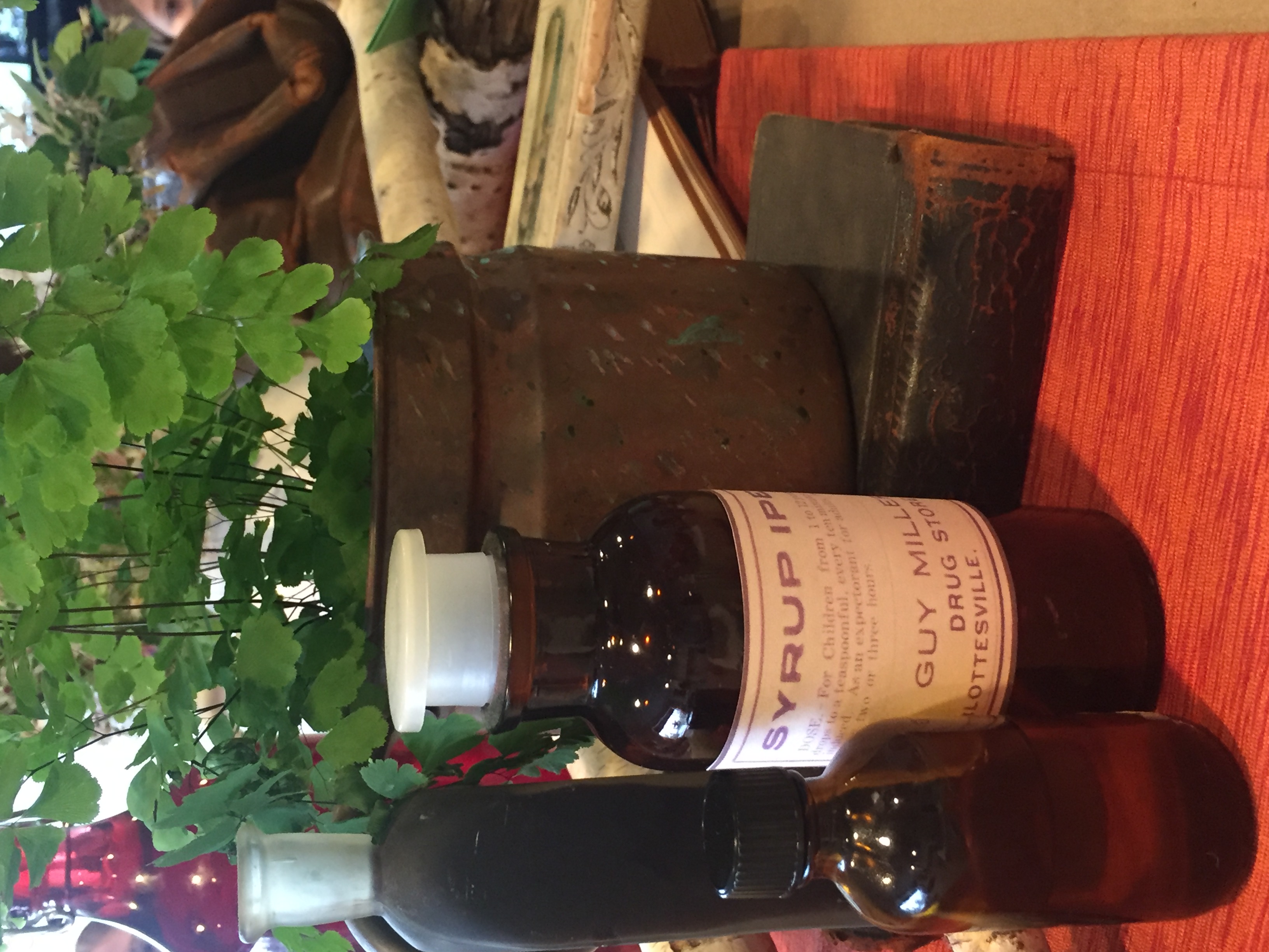 “I know exactly what to do for croup. You forget that Mrs. Hammond had twins three times. When you look after three pairs of twins you naturally get a lot of experience. They all had croup regularly. Just wait till I get the ipecac bottle—you mayn’t have any at your house." —Ch. 18