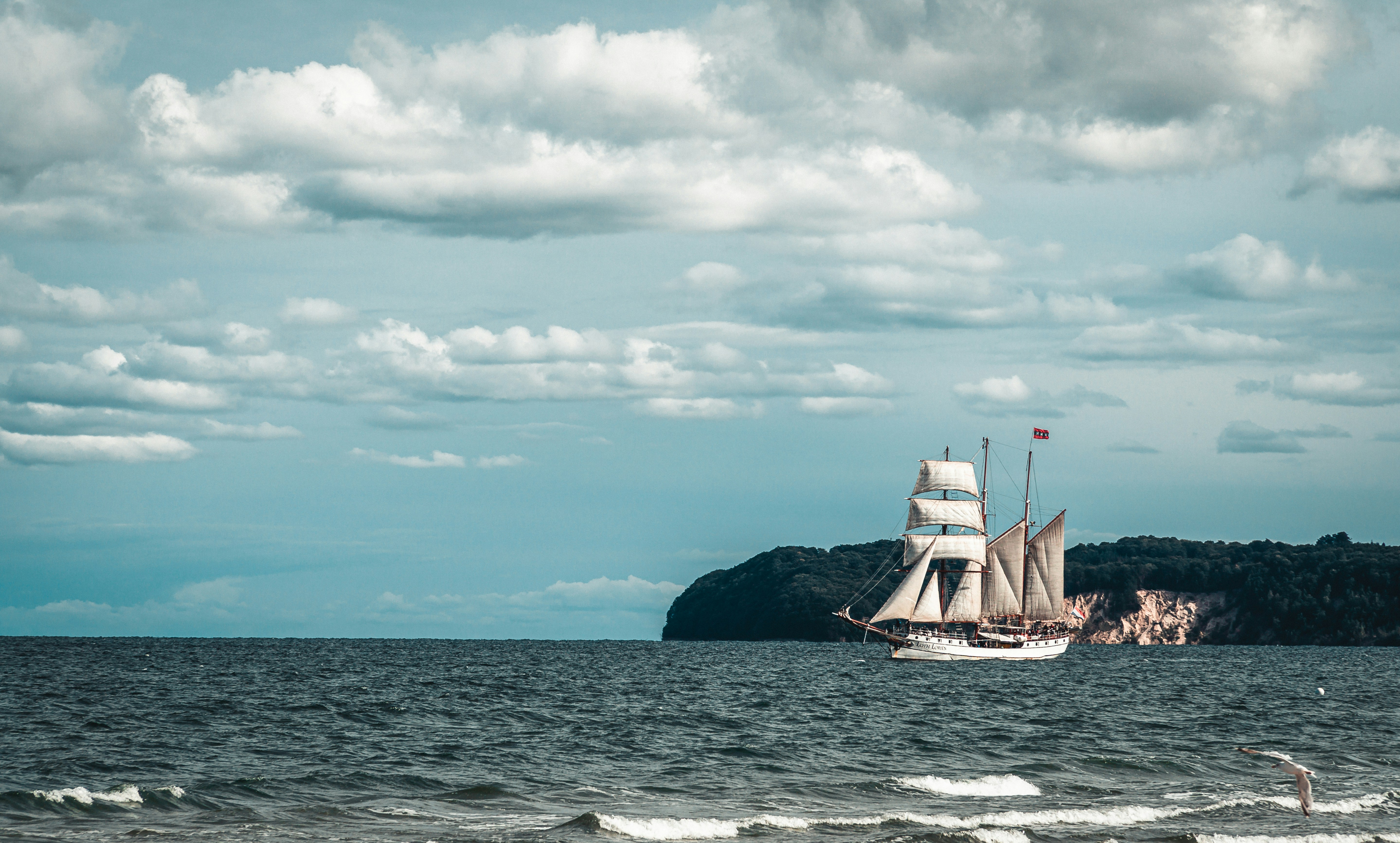 A writing analysis activity for teaching  Scott O'Dell's ISLAND OF THE BLUE DOLPHINS - from LitWits Workshops