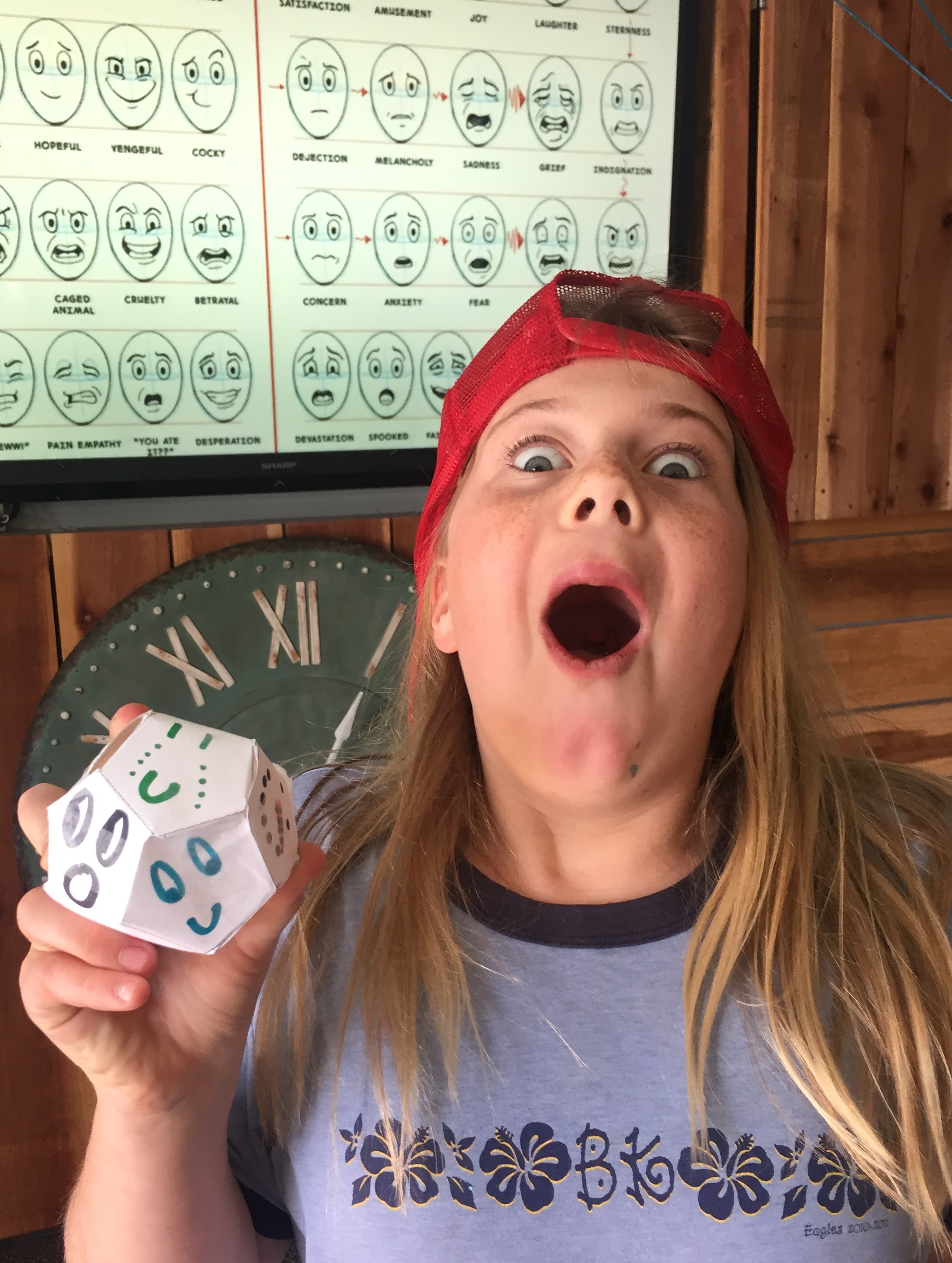"Face the Dodecahedron" - teaching THE PHANTOM TOLLBOOTH by Norton Juster - creative activity using LitWits printables 