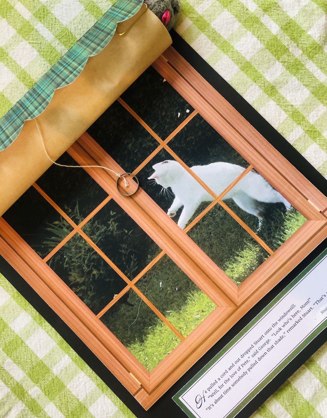 Stuart "caught in a blind" - fun activity for teaching STUART LITTLE - LitWits Workshops