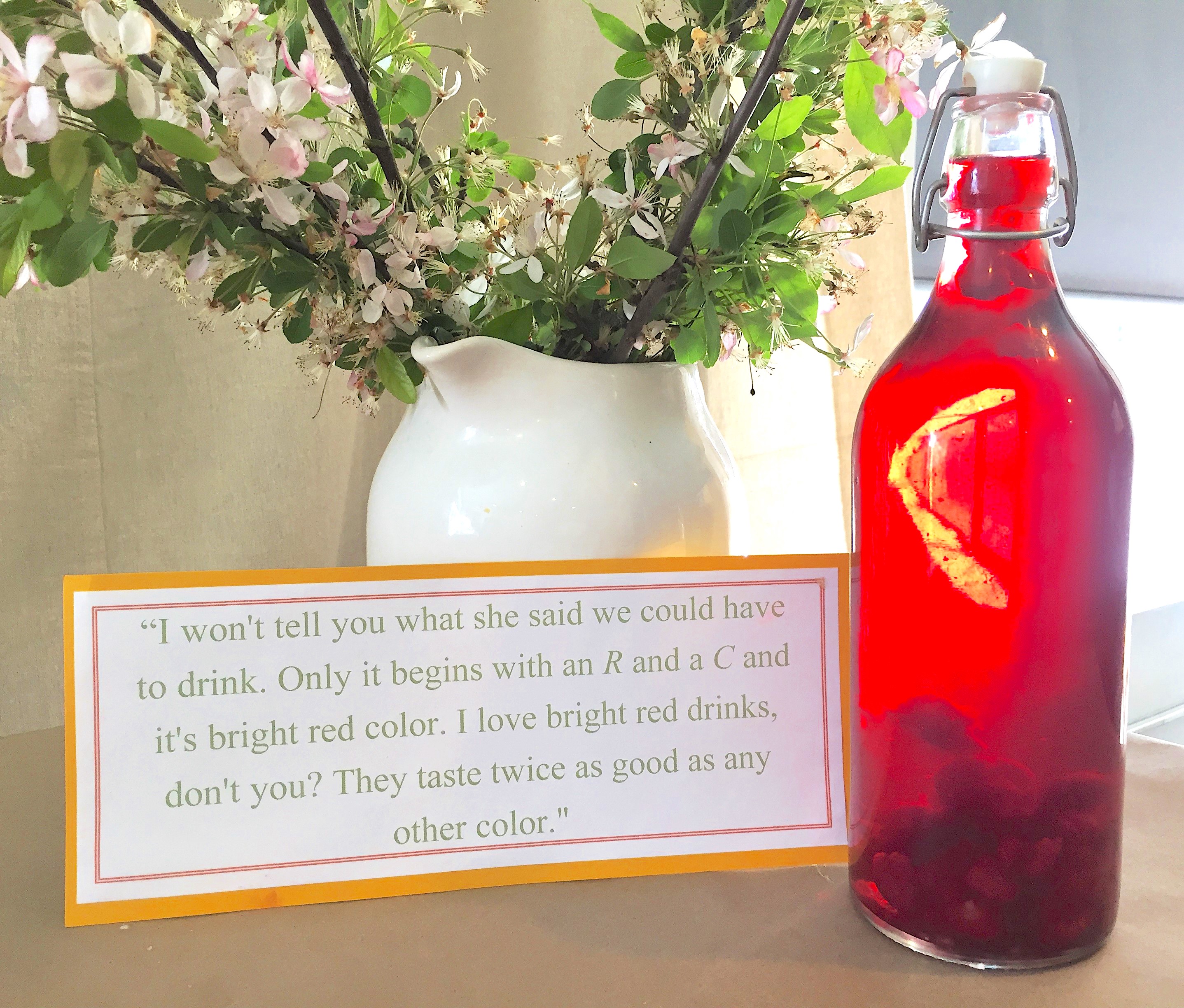 A sip of the story - raspberry cordial from ANNE OF GREEN GABLES - a creative teaching idea from LitWitsi Workshops