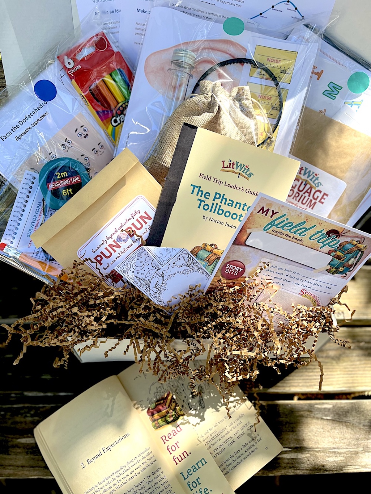 Contents of The LItWits Kit for THE PHANTOM TOLLBOOTH - LitWits Workshops