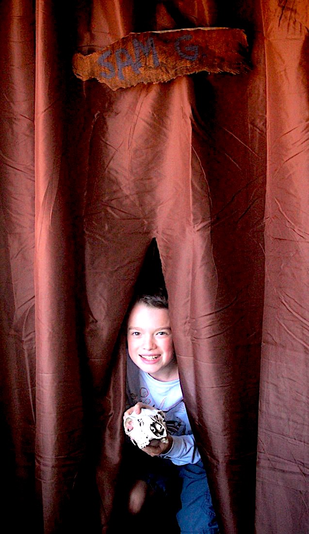 MISTY OF CHINCOTEAGUE - Build your own stall using LitWits printables