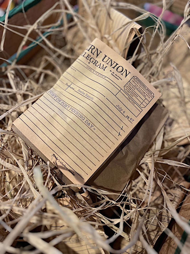 LitWits creative ideas for teaching MISTY OF CHINCOTEAGUE